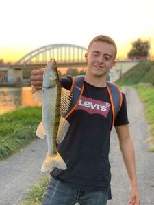 Zander