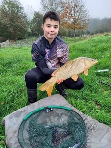 Common Carp