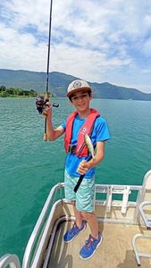Zander
