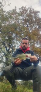Largemouth Bass
