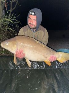 Mirror Carp