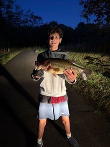 Largemouth Bass