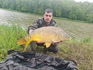 Leather Carp