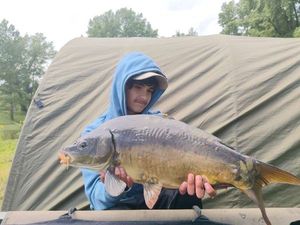 Mirror Carp