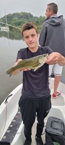 Smallmouth Bass