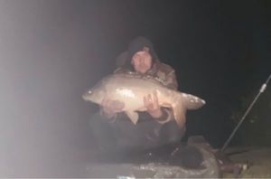 Mirror Carp