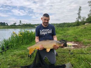 Common Carp