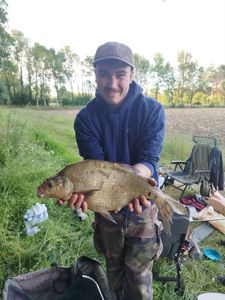 Common Bream