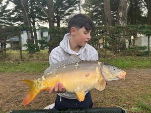 Mirror Carp