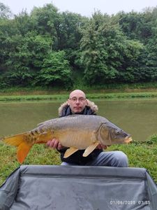 Mirror Carp