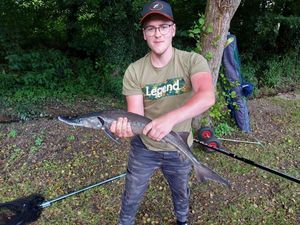 Sturgeon