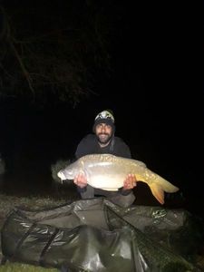 Mirror Carp