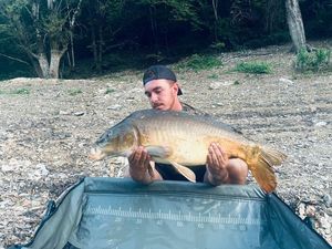 Mirror Carp