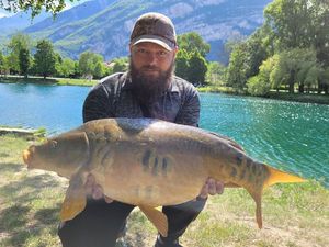 Mirror Carp