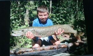 Northern Pike