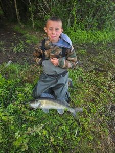 Zander