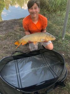 Common Carp