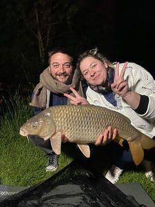 Common Carp