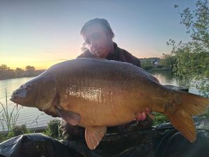 Mirror Carp