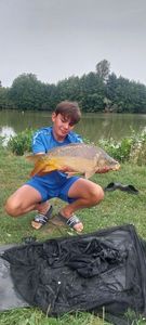 Mirror Carp