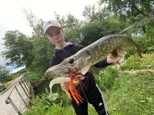 Northern Pike