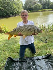 Common Carp