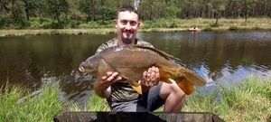 Mirror Carp