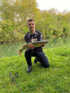 Northern Pike