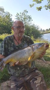 Common Carp