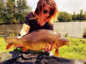 Common Carp