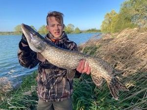 Northern Pike