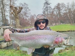 Rainbow Trout