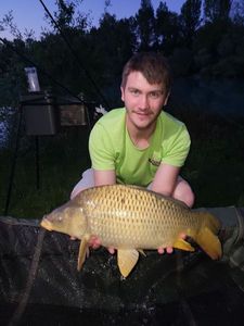 Mirror Carp