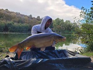 Mirror Carp