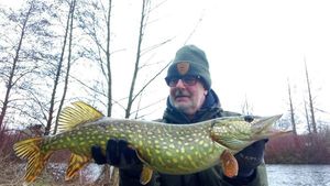 Northern Pike