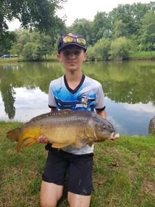 Mirror Carp