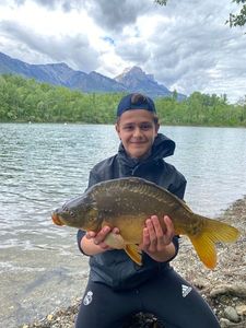 Mirror Carp