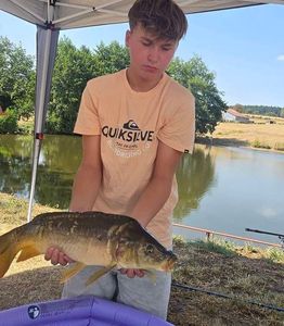 Mirror Carp