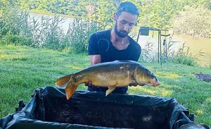 Mirror Carp