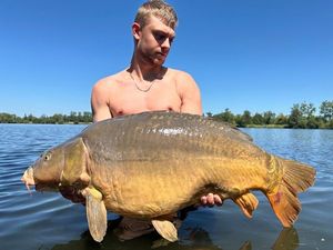Mirror Carp