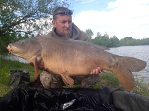 Mirror Carp