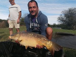 Mirror Carp