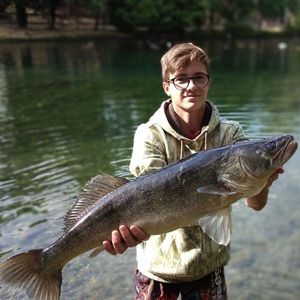 Zander