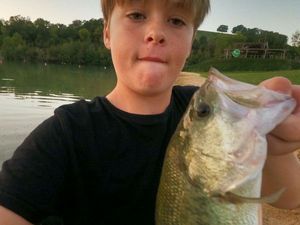 Largemouth Bass