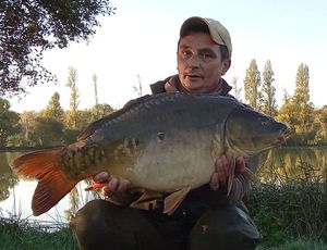 Mirror Carp