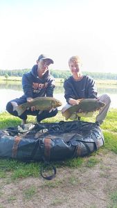 Tench