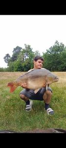 Mirror Carp
