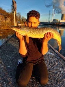 Northern Pike