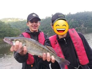 Zander