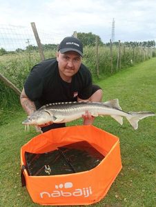 Sturgeon